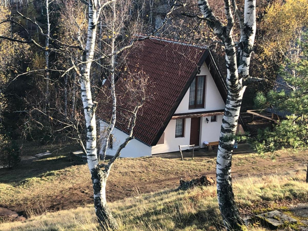 Villa Vikendica Stojanovic à Mionica Extérieur photo