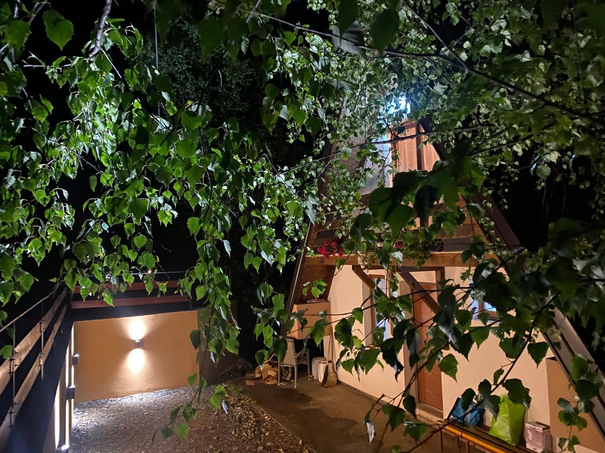 Villa Vikendica Stojanovic à Mionica Extérieur photo